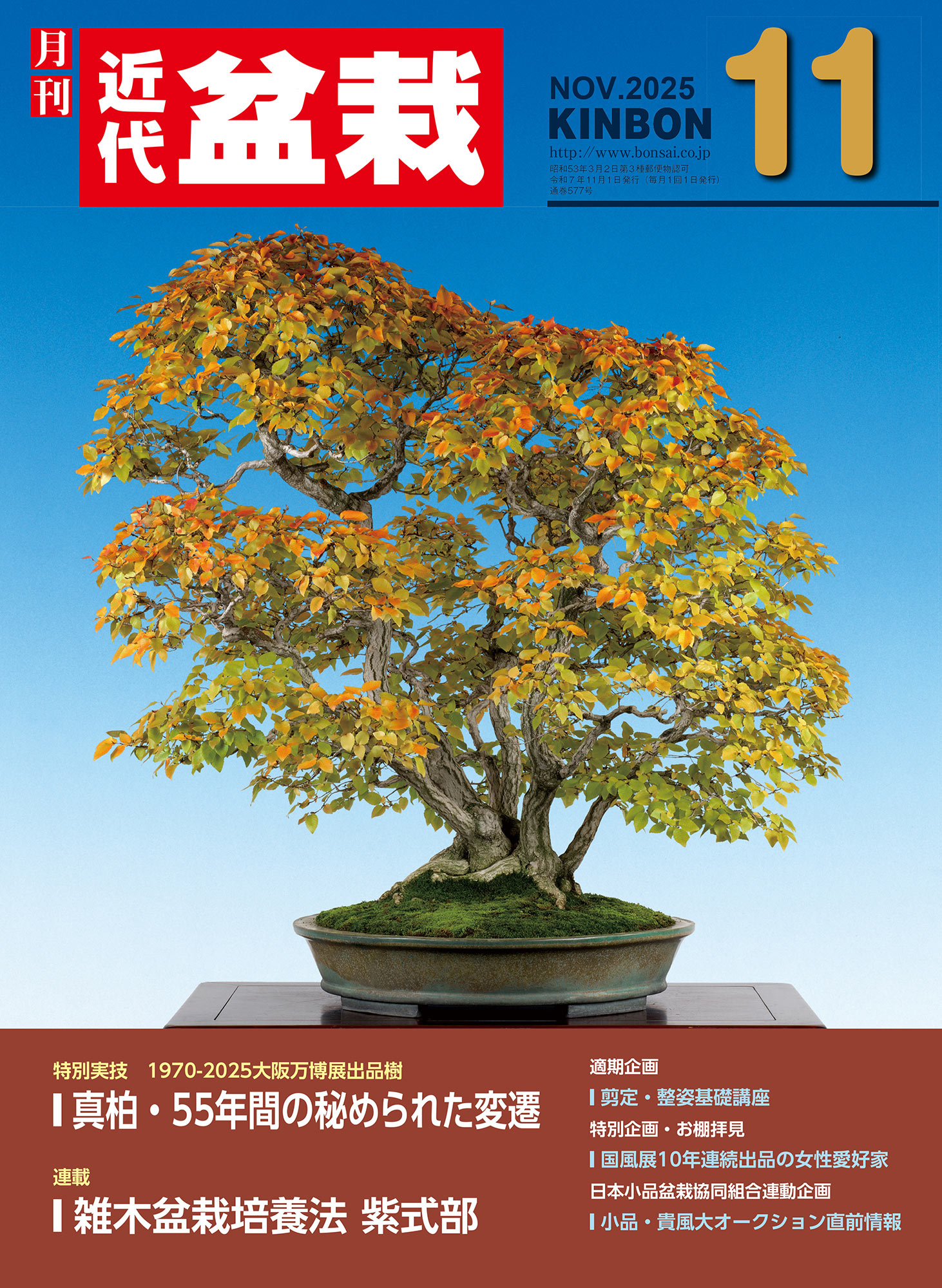 月刊「近代盆栽」2025年11月号 | 盆栽、盆栽書籍、盆栽鉢の通販│近代出版