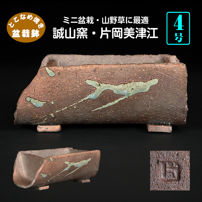 誠山窯 片岡美津江 | 盆栽、盆栽書籍、盆栽鉢の通販│近代出版