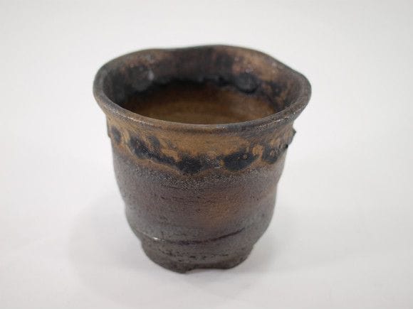 1364_2.jpg?v=1700519432&width=1946