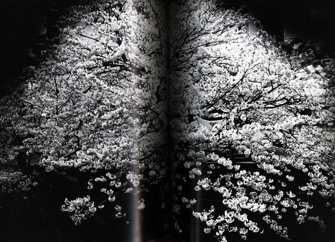 光と影 / 森山大道 | 小宮山書店 KOMIYAMA TOKYO | 神保町 古書・美術