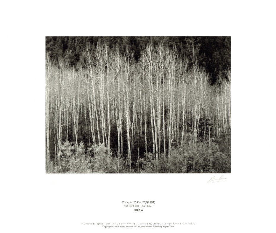 生誕100年記念 アンセル・アダムズ写真集成 / 写真：アンセル