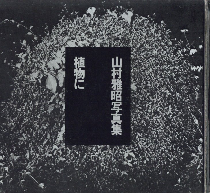 植物に / 写真：山村雅昭 | 小宮山書店 KOMIYAMA TOKYO | 神保町 古書