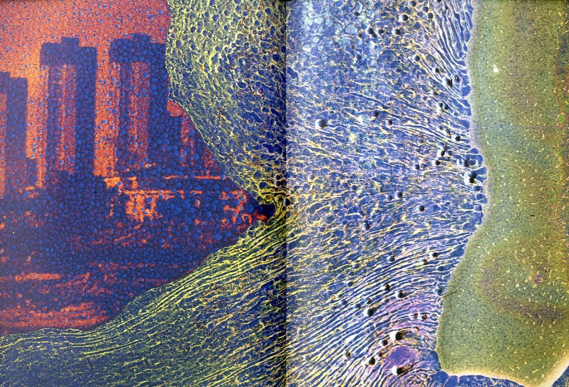 横田大輔Inversion (Arles edition)絶版