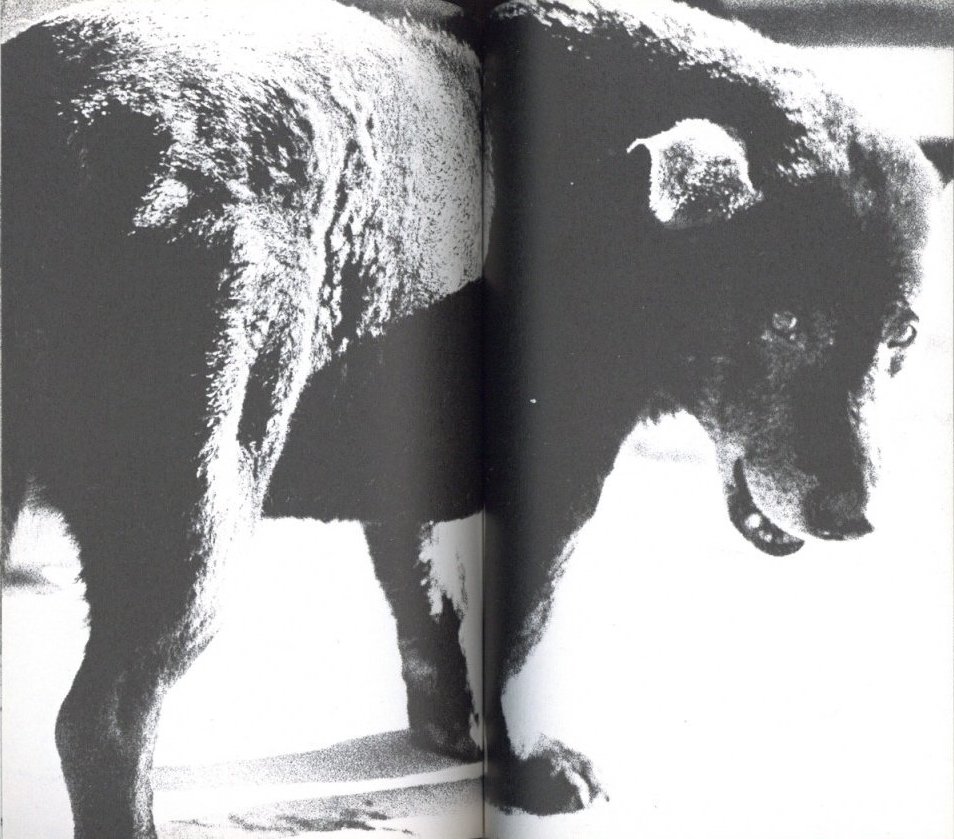 新装版 A HUNTER 狩人 / 著：森山大道 | 小宮山書店 KOMIYAMA TOKYO