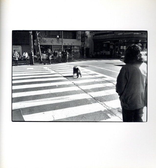 写真機無音 カメレオン / 著：後藤田三郎 | 小宮山書店 KOMIYAMA TOKYO