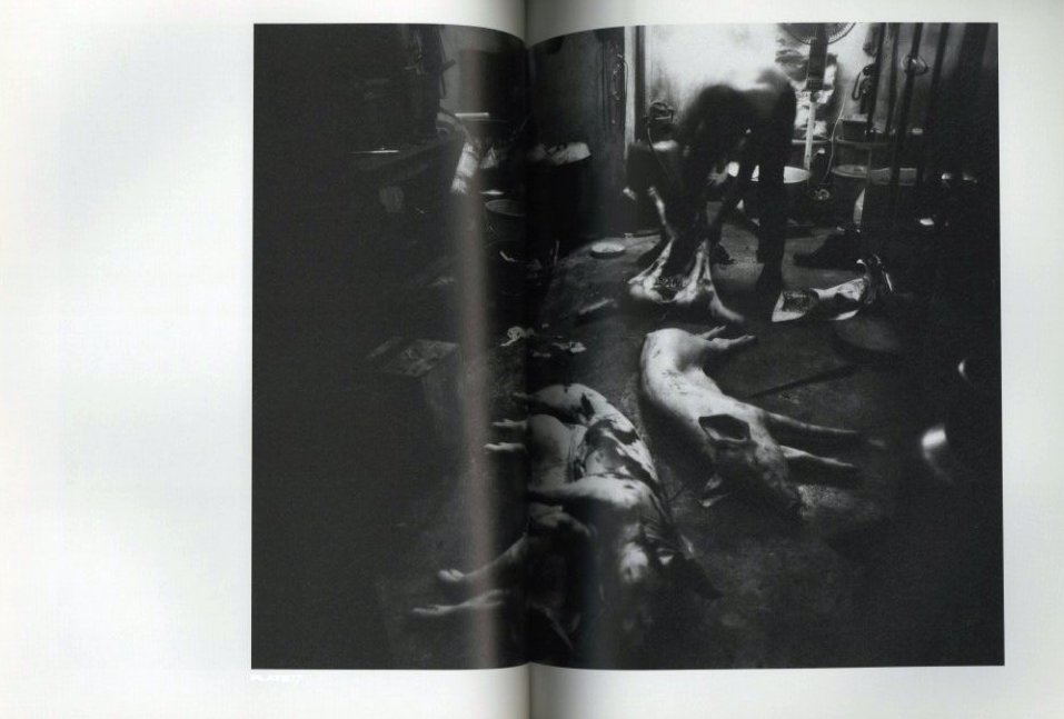 九龍城砦 / 著：宮本隆司 | 小宮山書店 KOMIYAMA TOKYO | 神保町 古書