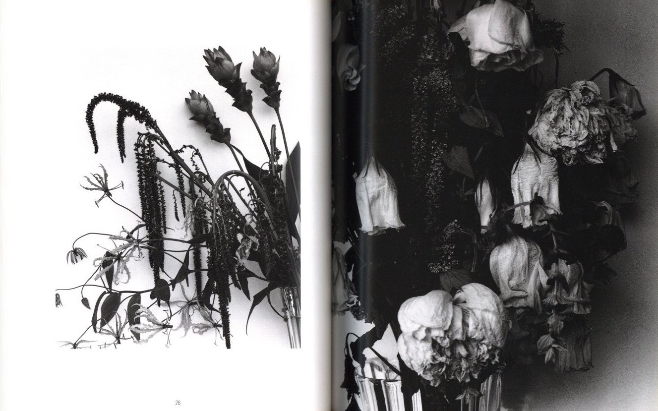 花陰 / 著：荒木経惟 | 小宮山書店 KOMIYAMA TOKYO | 神保町 古書