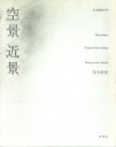 Nobuyoshi Araki KOSHOKU PAINTING / 著：荒木経惟 | 小宮山書店