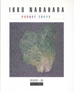 消滅した時間 / 奈良原一高 | 小宮山書店 KOMIYAMA TOKYO | 神保町