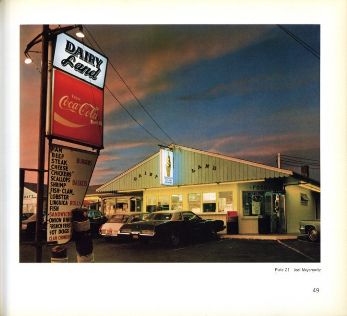 the new color photography / Sally Eauclaire | 小宮山書店 KOMIYAMA