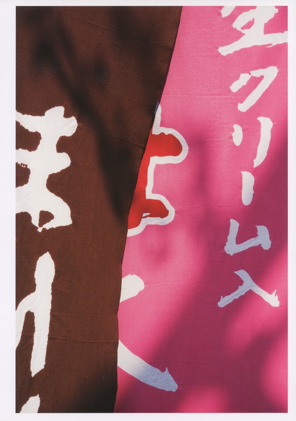 this year's model: go itami / 写真：伊丹豪 装丁：秋山伸 ほか