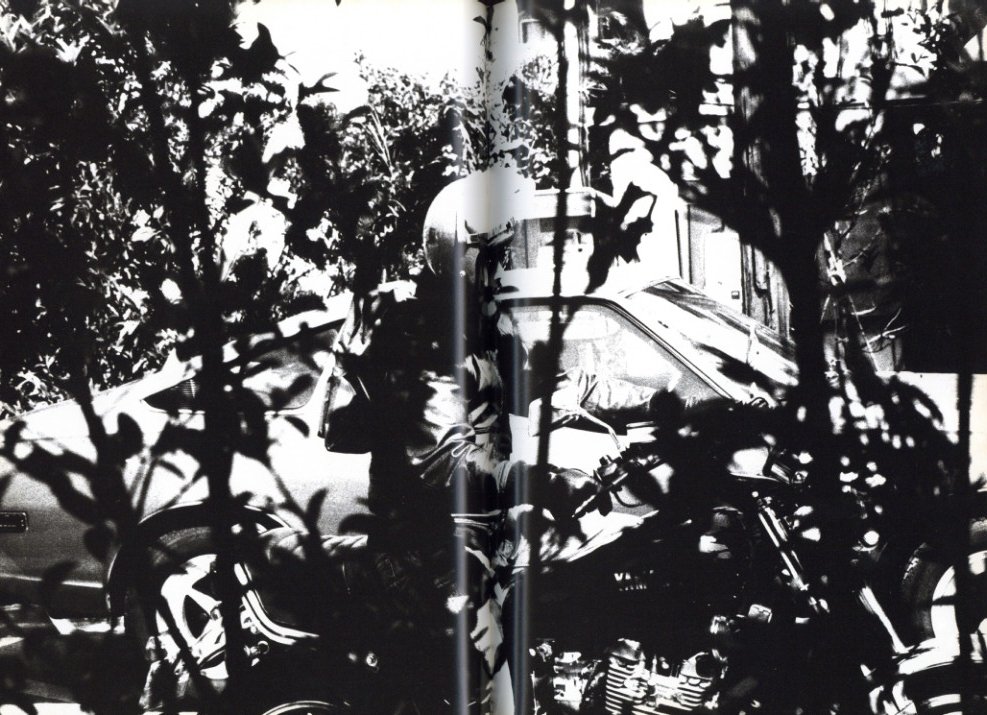 新たなる凝視 / 中平卓馬 | 小宮山書店 KOMIYAMA TOKYO | 神保町 古書