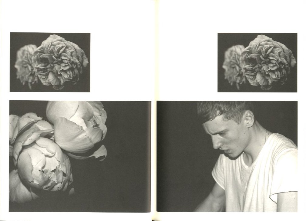 DAZED＆CONFUSED JAPAN エディ・スリマン撮影写真集2007