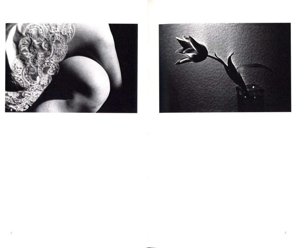 Daido Moriyama: Sunflower / 森山大道 | 小宮山書店 KOMIYAMA TOKYO