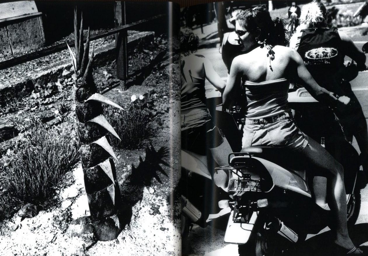 別冊 記録 第1号 「森山大道×沢渡朔」 / 著：森山大道、沢渡朔