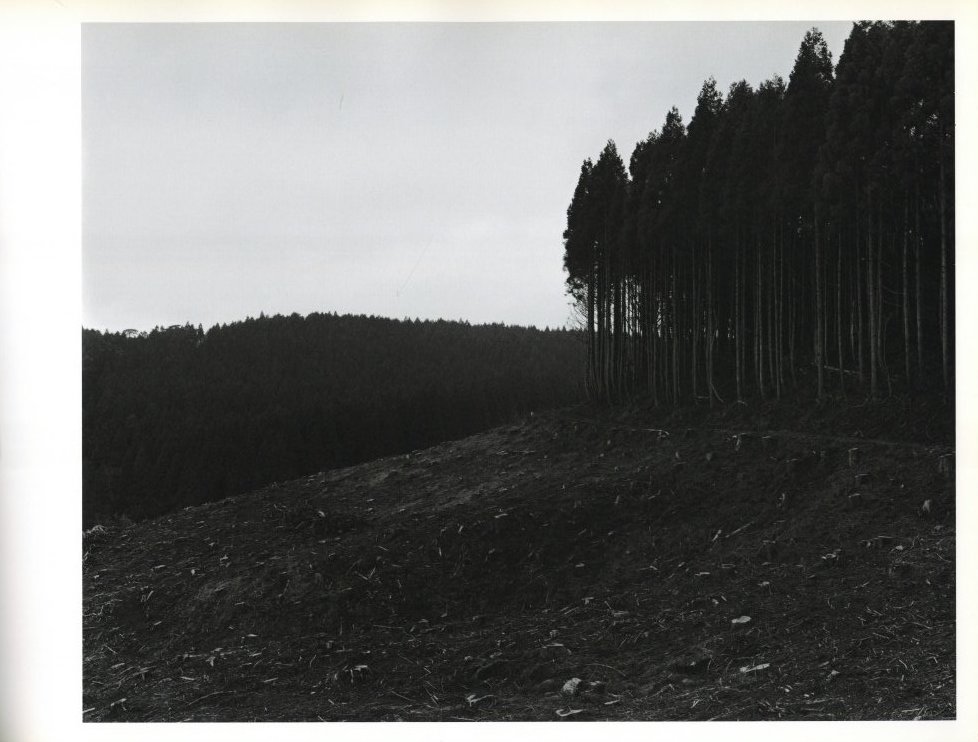 大きな石とオオカミ -通常版- / 写真：村越としや | 小宮山書店