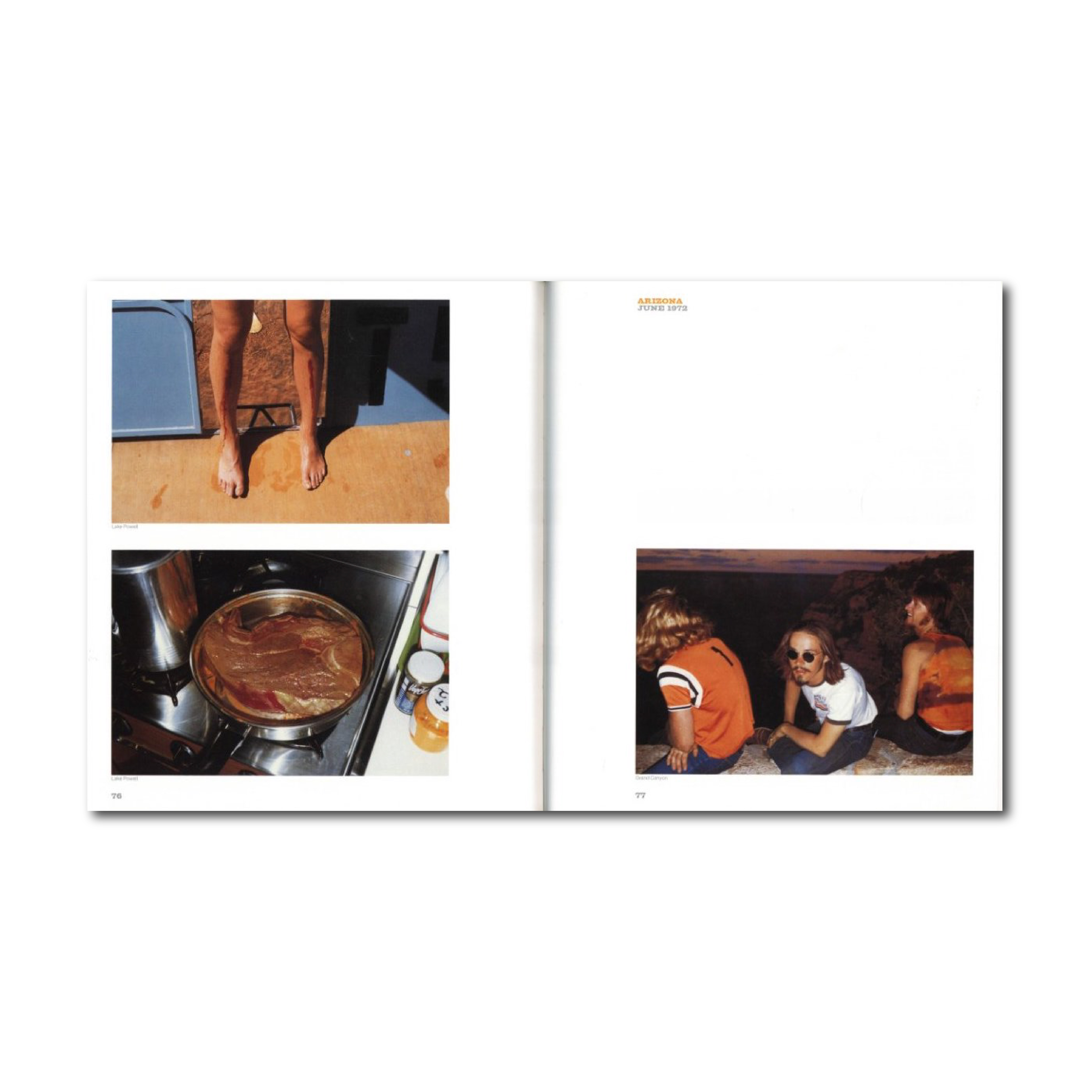 AMERICAN SURFACES STEPHEN SHORE / Stephen Shore | 小宮山書店