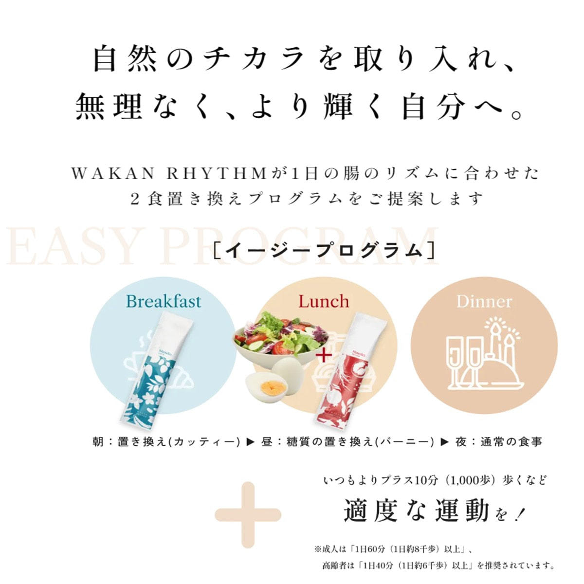 スリムレイ カッティー 15g×30包 48箱セットの卸・通販 | ビューティ