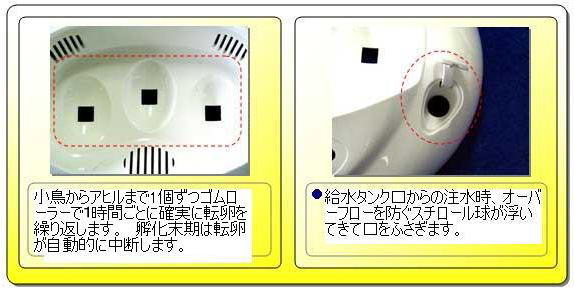 教材用 孵卵器 リトルママ