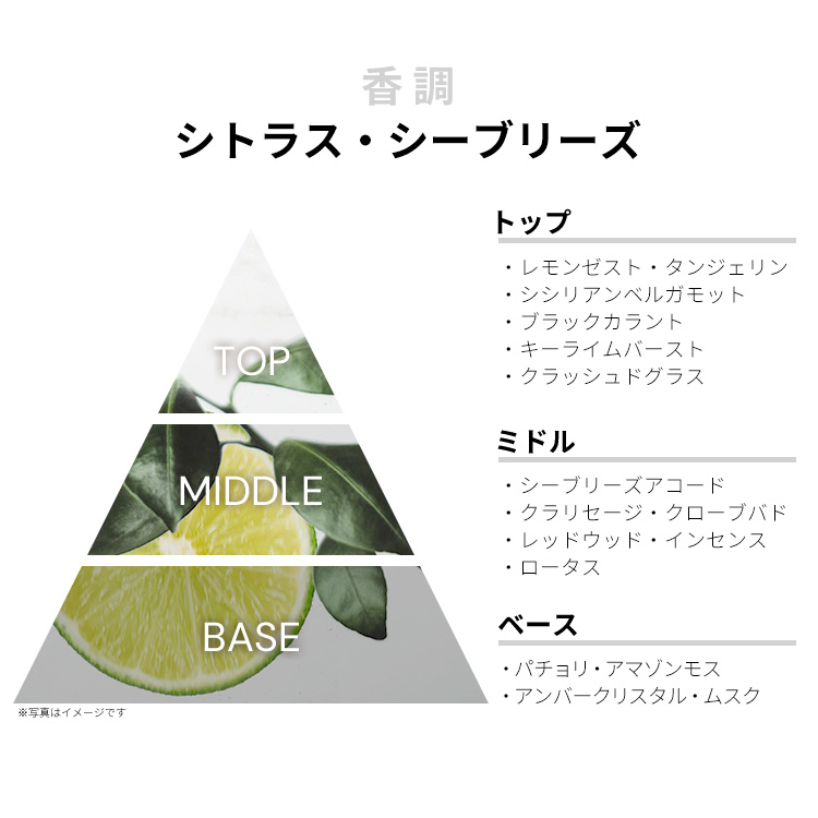 パリス ヒルトン ジャスト ミー フォーメン EDT・SP 100ml PARIS