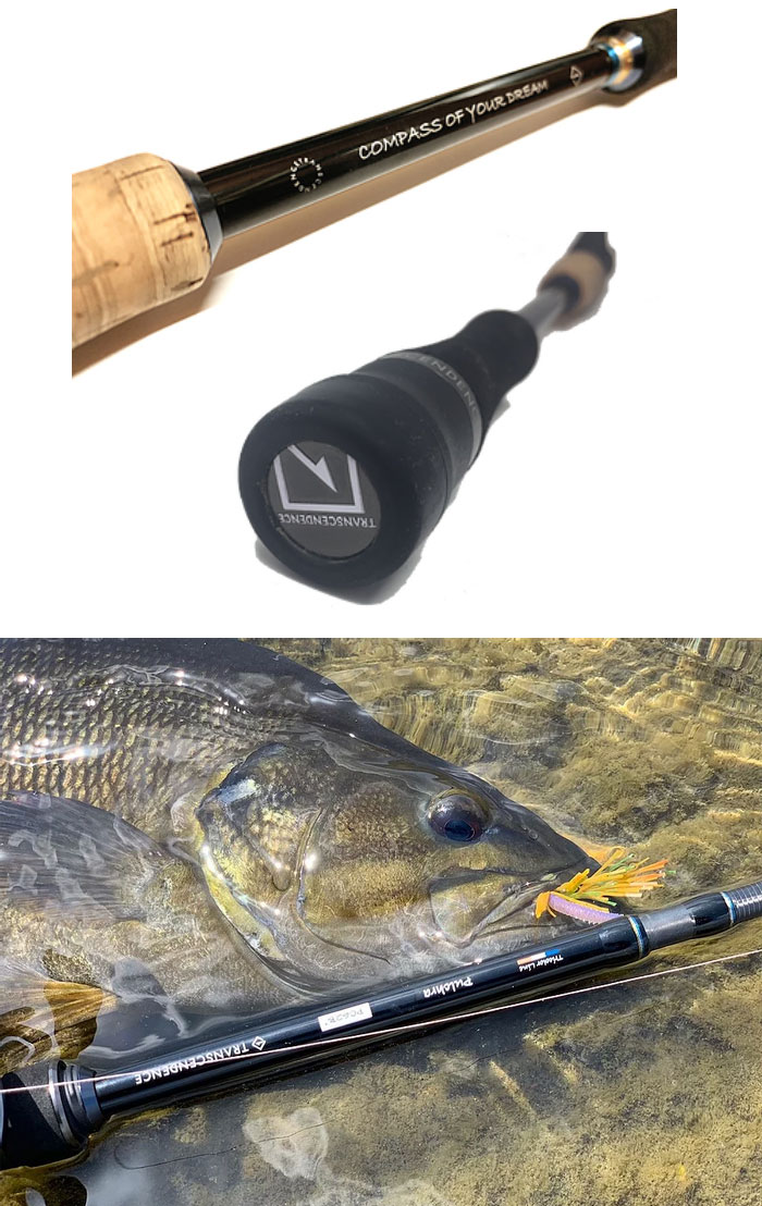 トランスセンデンス プルクラ 62B+ TRANSCENDENCE Pulchra - 【バス