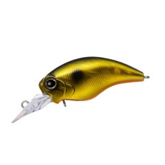 エバーグリーン ソルティーセンセーション スペリオルシリーズ SPRS