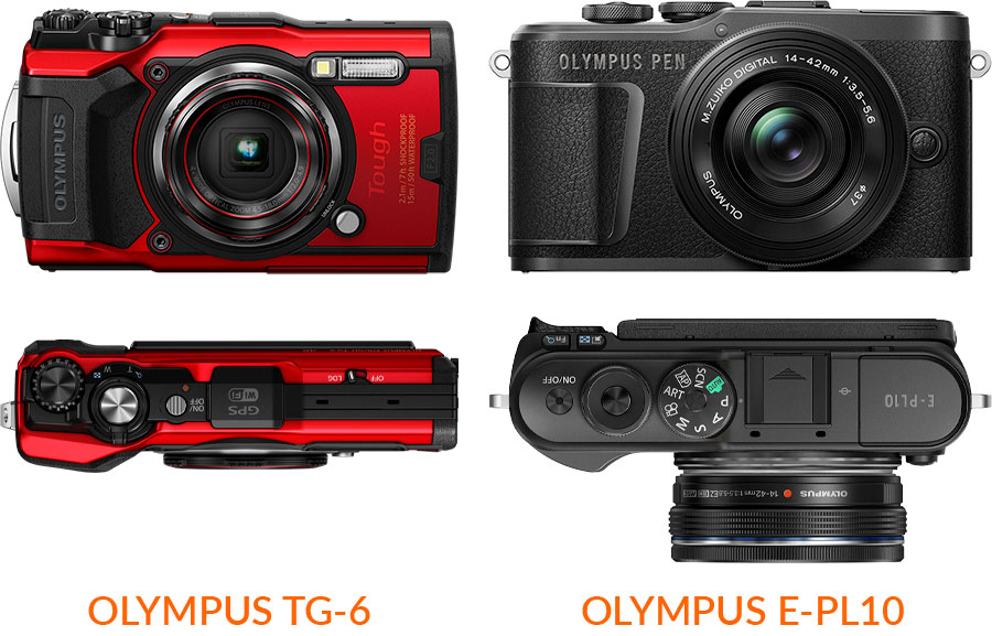 Olympus E-PL10 Underwater Camera & Housing Review - Underwater