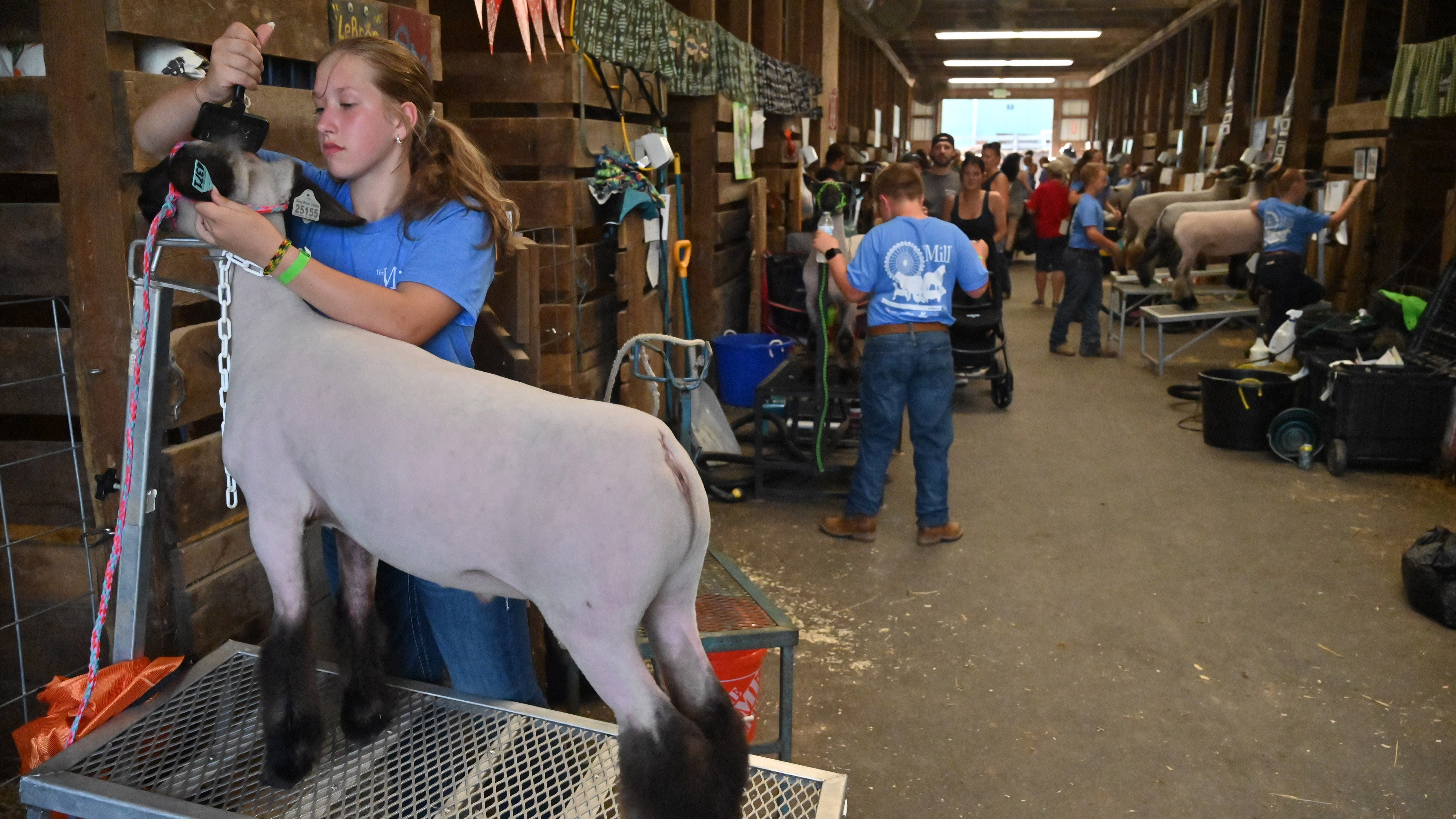 Harford County Fair 2025 | PHOTOS – Baltimore Sun
