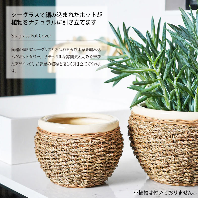 IVYLINE シーグラス ポットカバー ナチュラル 直径23cm 鉢 カバー 陶器