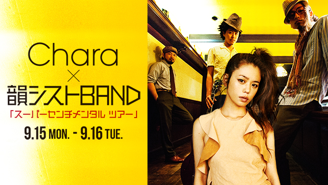 Chara｜ARTISTS｜BLUE NOTE TOKYO