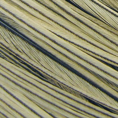 Whiting Farms Whiting Cock Neck Hackle | ホワイティング・ファーム