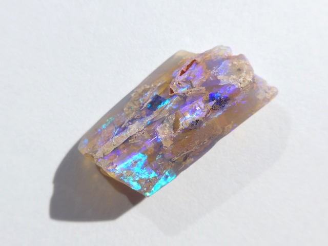 お買い得価格！オパール化した珪化木を1点アップしました