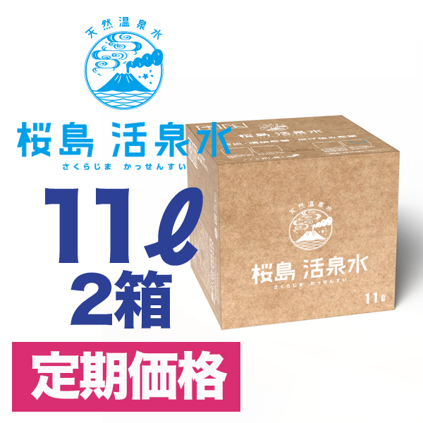 11リットル箱2箱セット