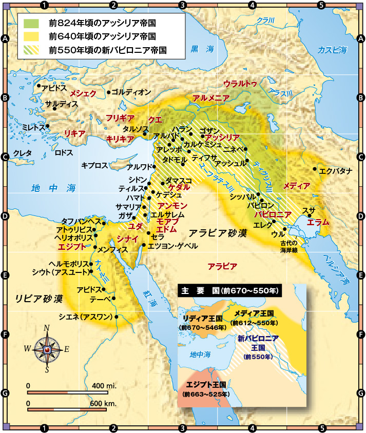 聖書 聖書協会共同訳 引照・注付き大型判 SIO53／SIO53DC - 日本聖書