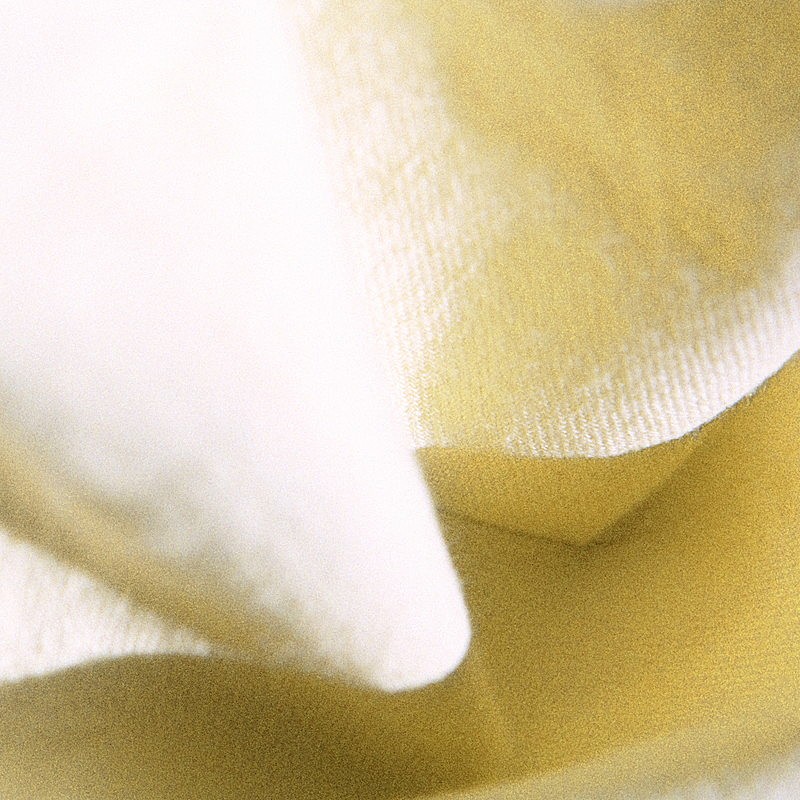 カネコアヤノ、ニューアルバム『よすが』4月リリース 全公演バンド