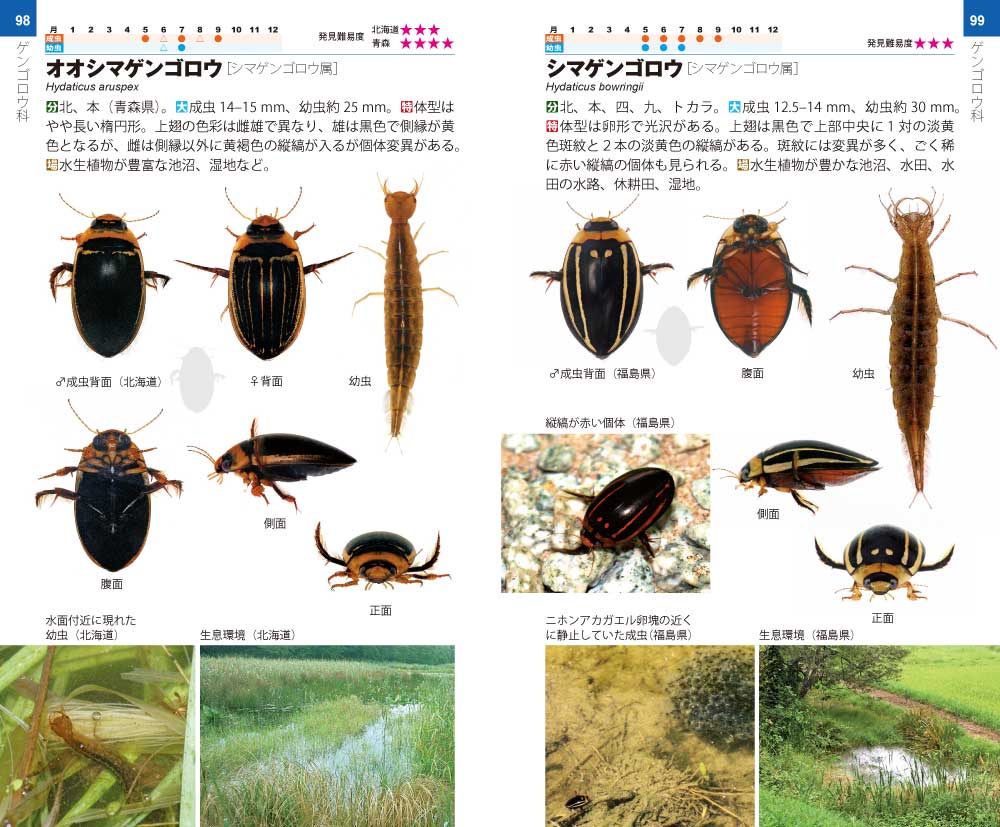 ゲンゴロウ・ガムシ・ミズスマシハンドブック