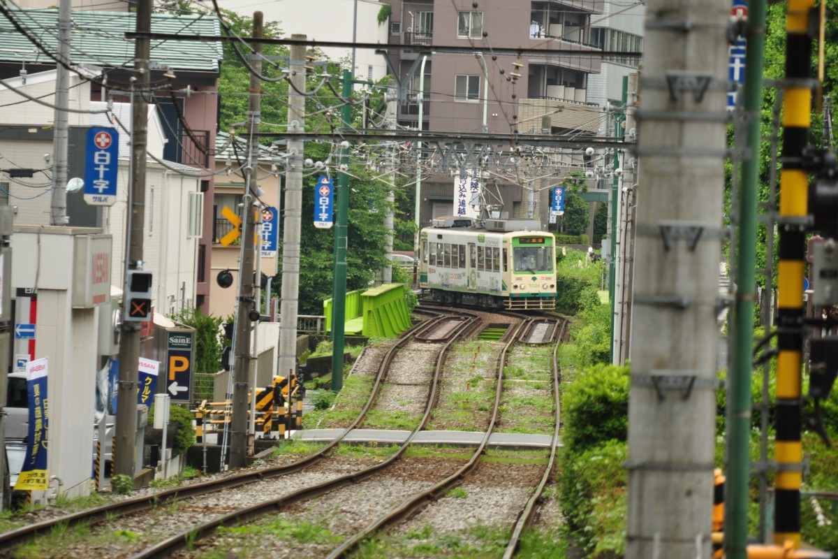 しっとり荒川線 | 鉄道写真