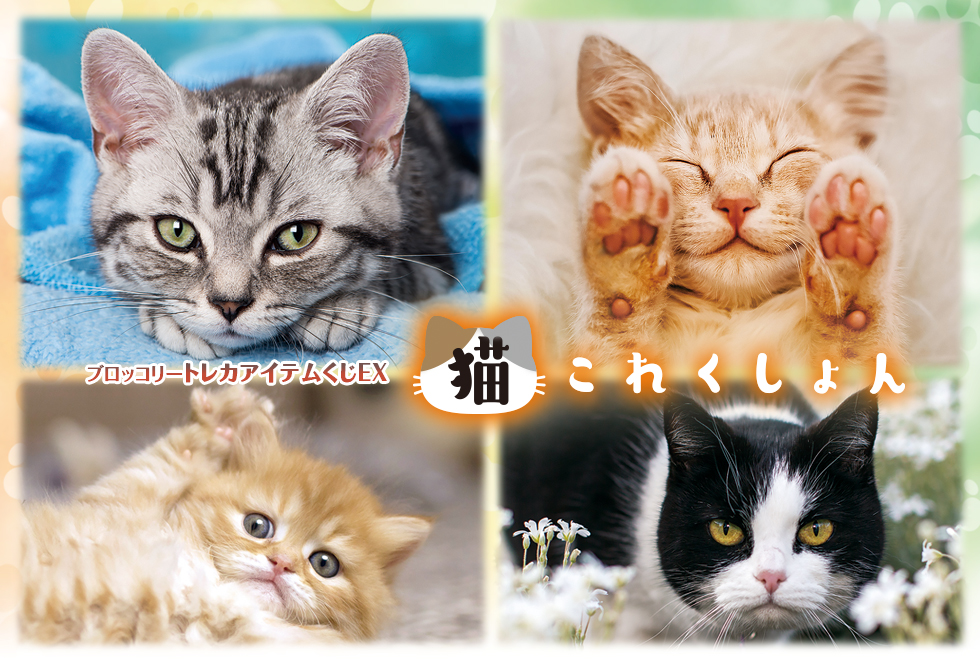 ブロッコリートレカアイテムくじ｜株式会社ブロッコリー