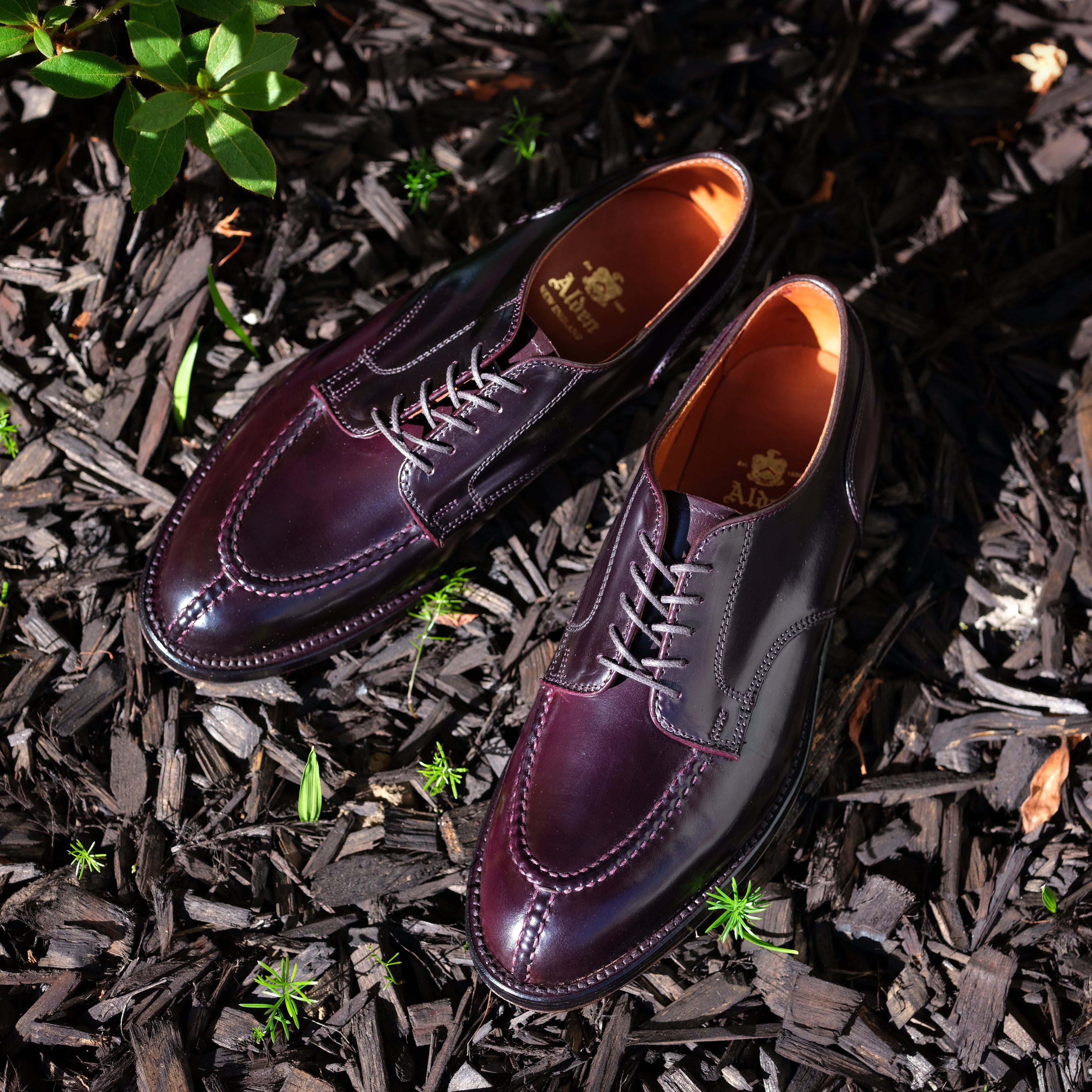 Alden Norwegian Split Toe Blucher – BROGUE