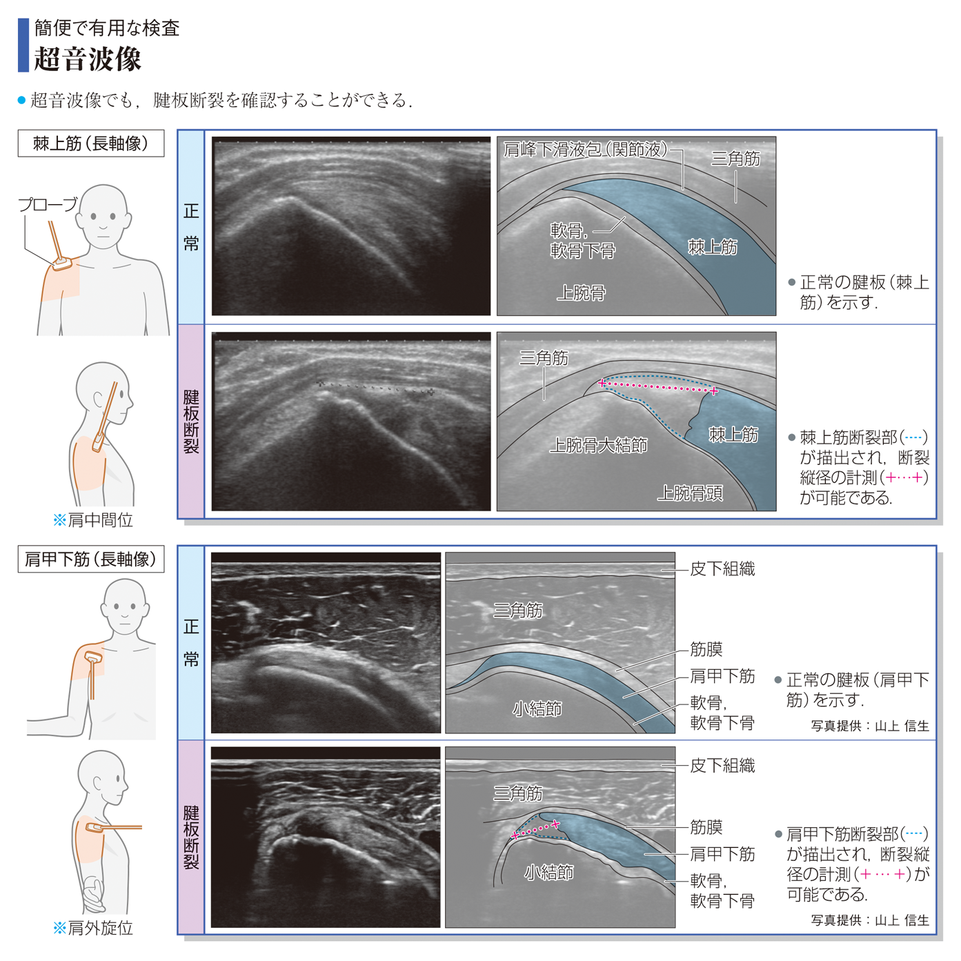 病気がみえる - チーム医療を担う医療人共通のテキスト