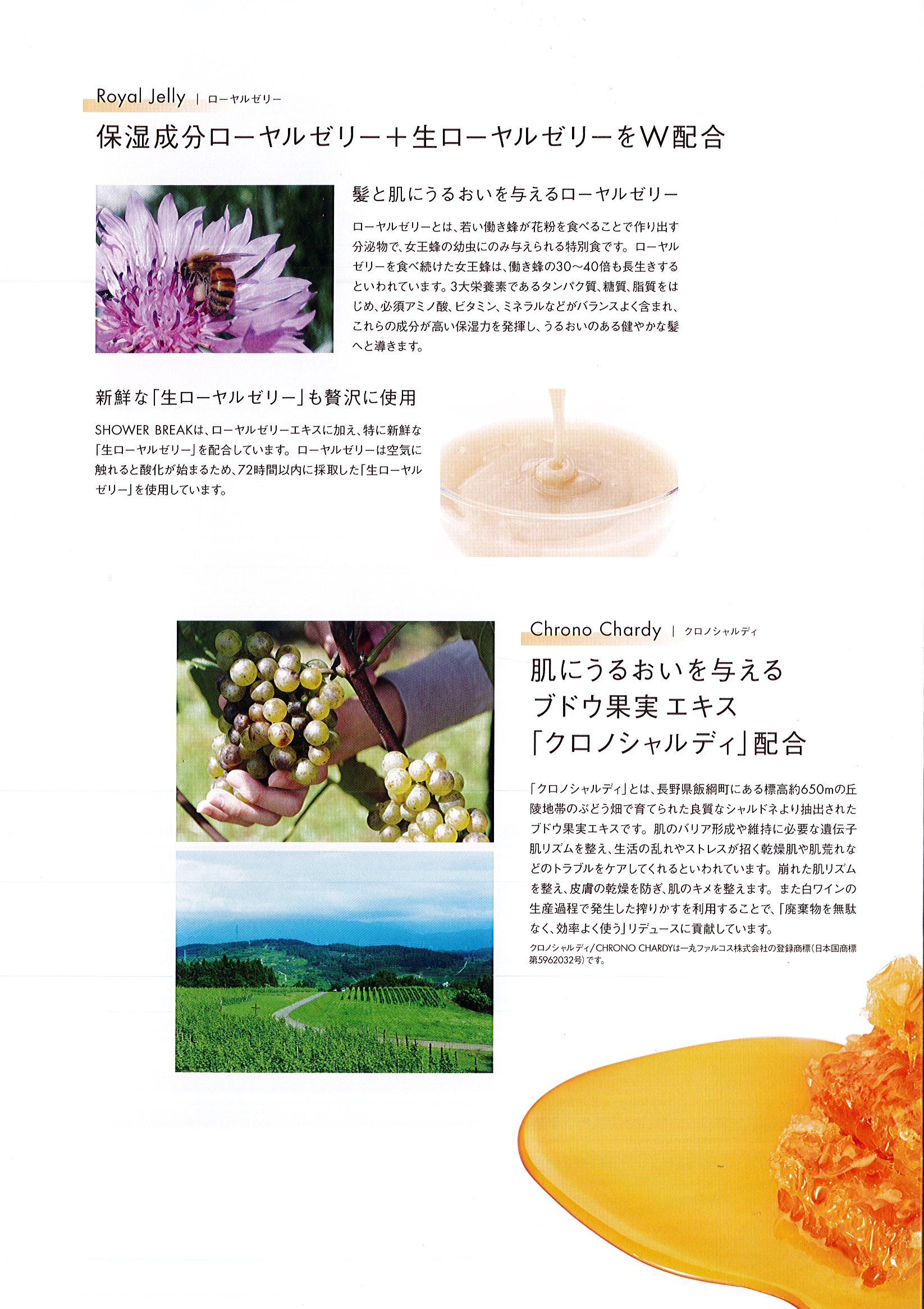 ポーラ(POLA) シャワーブレイク リンスインシャンプー10L（V417