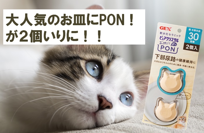 大人気！お皿にPON猫用に2個入りがでました！ 犬 猫 飼育用品