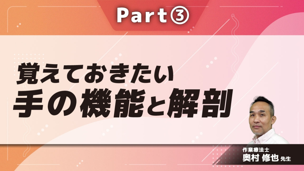 覚えておきたい手の機能と解剖 Part③手の骨構成とアーチ/手の