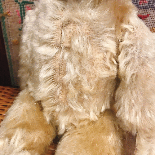 チャドバレー 1940〜50's 大きなグラスアイのテディベア｜「GENIO