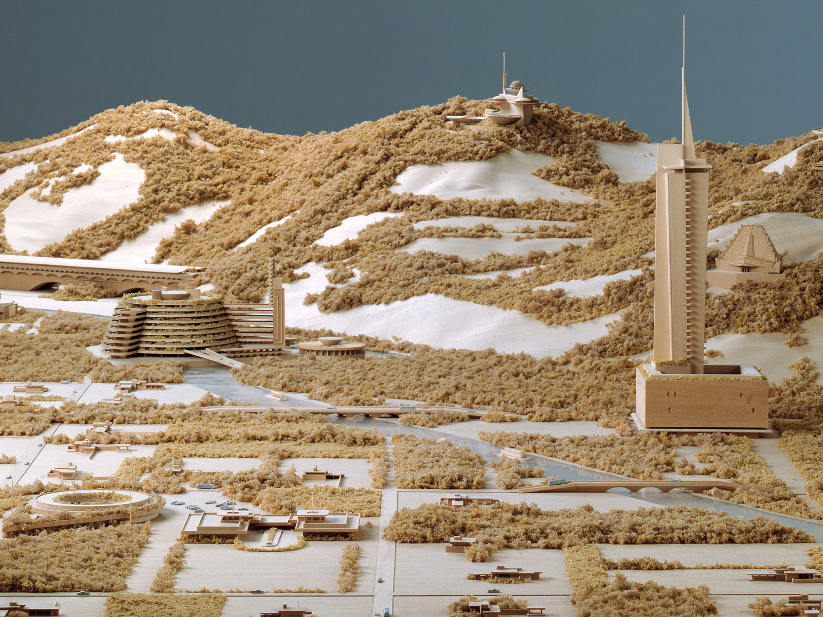 Frank Lloyd Wright And The Living City - George Ranalli Architect