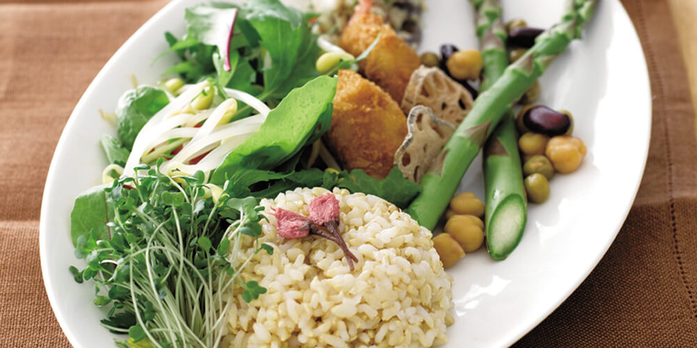 講座一覧 | 日本創芸学院の通信講座｜食・健康・カフェ・クラフト