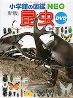 新版］ 昆虫 DVDつき | 小学館 - 学参ドットコム