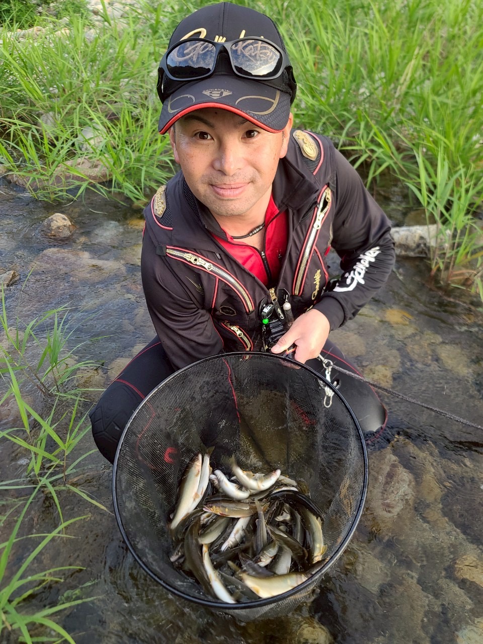 高津川水系鮎解禁！（島根県益田市匹見川） | がまかつ