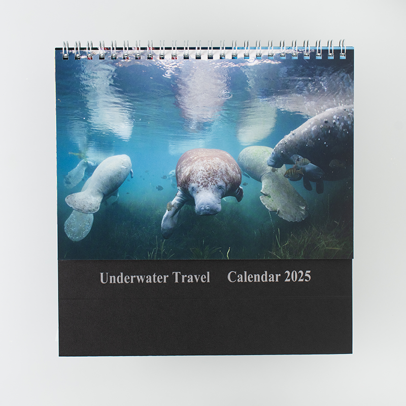 卓上カレンダー（リング製本／A5サイズ／月めくりタイプ）｜一関