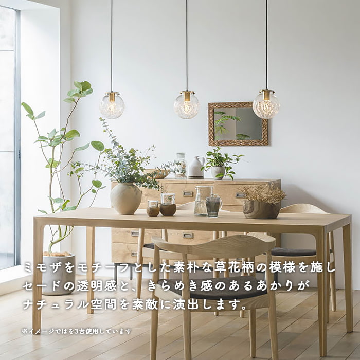 ミモザ・透明 ペンダントライト 40W | ダクトレール用｜照明の